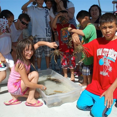 a group of young children around some crabs