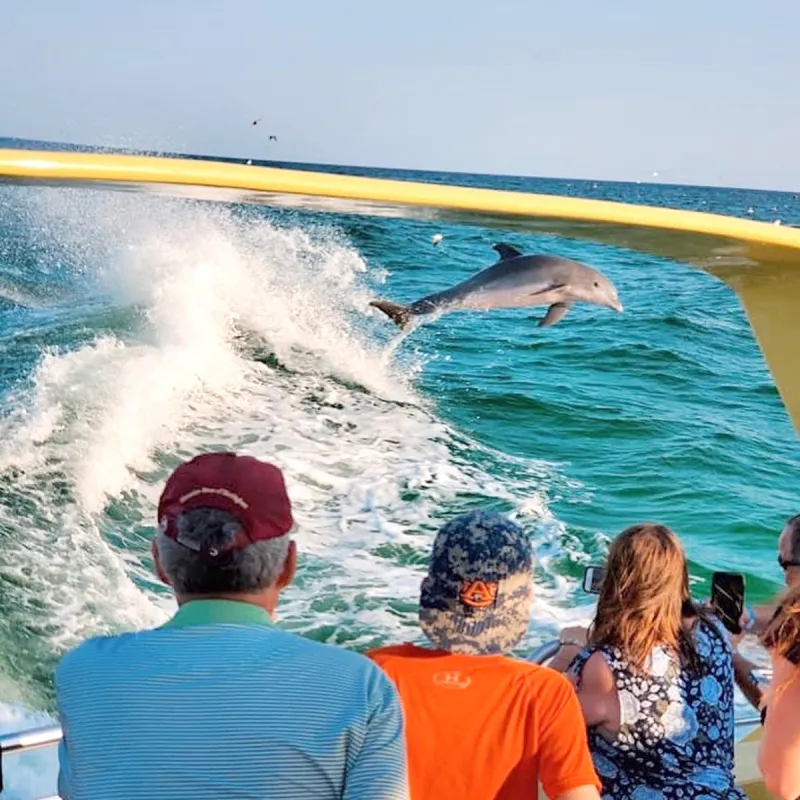 a group of people in the water