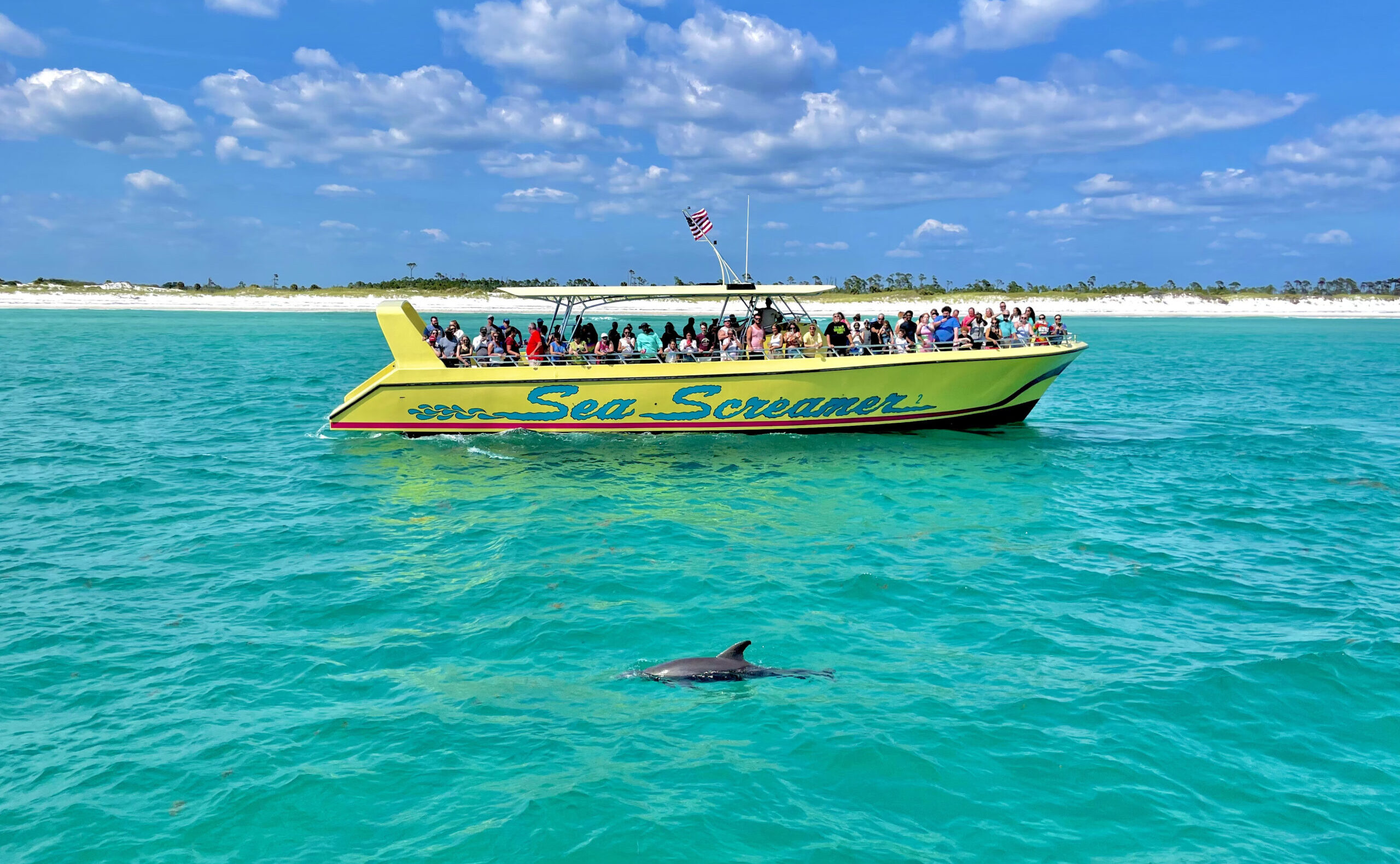 Sea Screamer Dolphin Cruises | Panama City Beach, FL