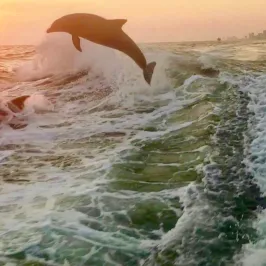 a sunset over a body of water