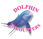 Dolphin encounters