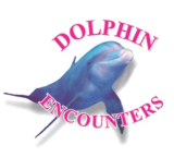 Dolphin encounters